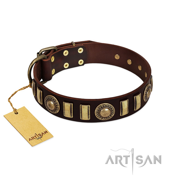 Top rate genuine leather dog collar with reliable buckle