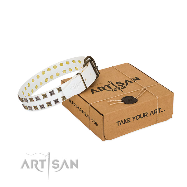 Full grain natural leather collar with awesome embellishments for your pet