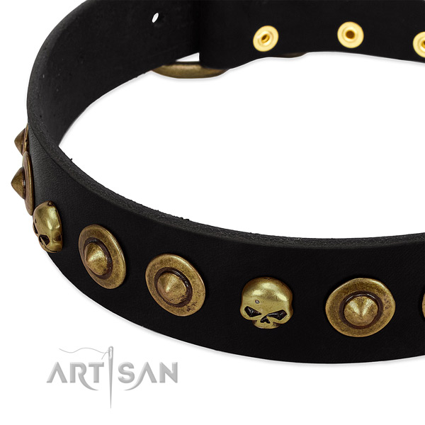 Genuine leather dog collar with trendy adornments