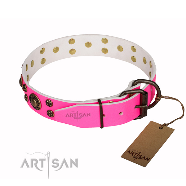 Everyday walking embellished dog collar of fine quality leather