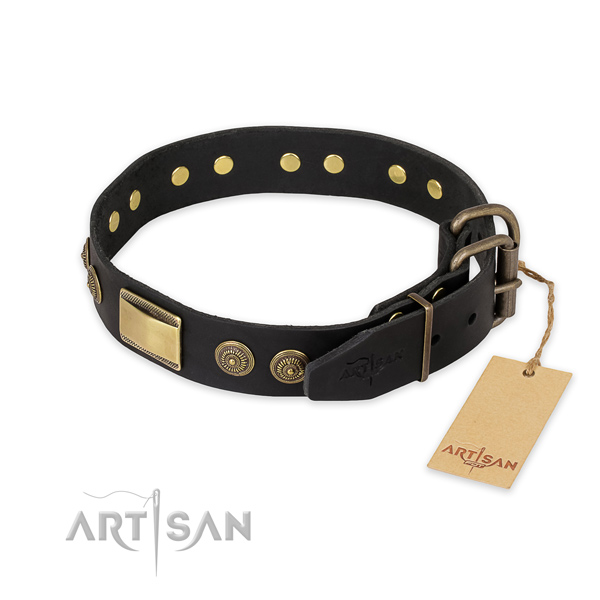 Reliable fittings on leather collar for fancy walking your pet