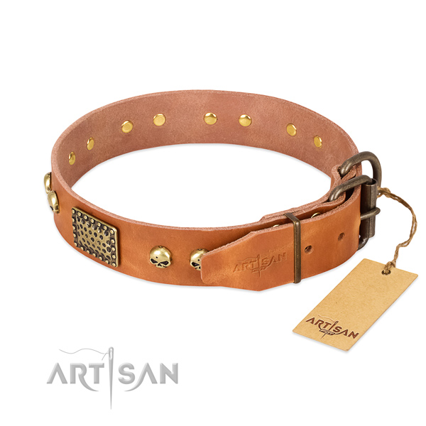 Reliable adornments on handy use dog collar