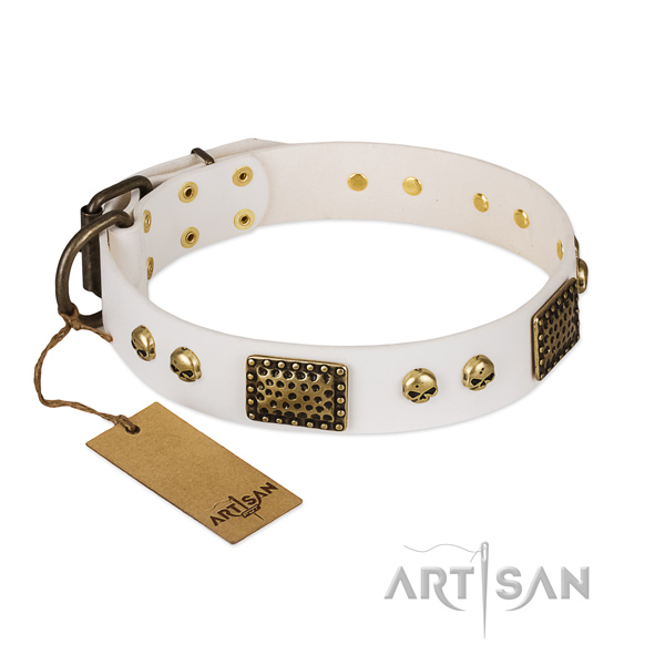Corrosion proof D-ring on everyday walking dog collar