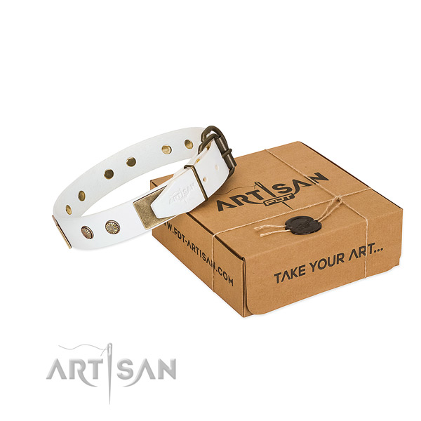 Corrosion resistant studs on dog collar for daily use
