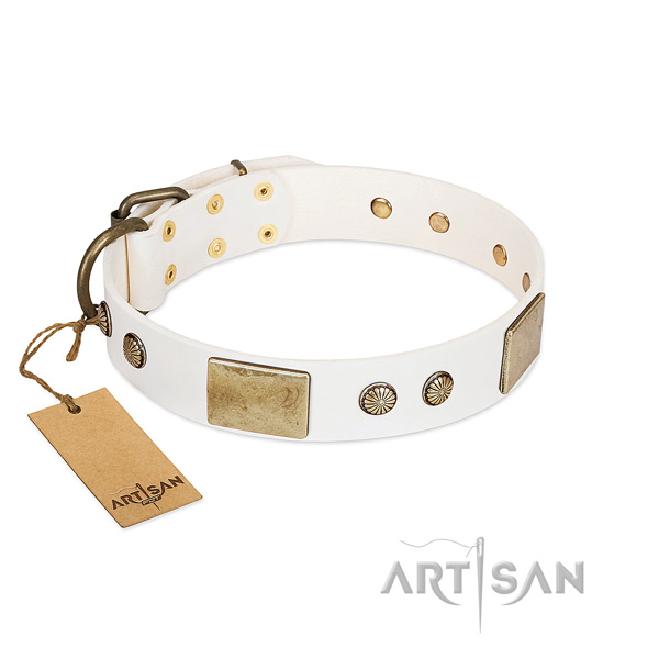 Easy adjustable genuine leather dog collar for daily walking your doggie
