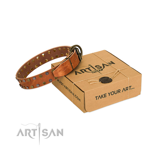 Stylish walking reliable full grain leather dog collar with decorations