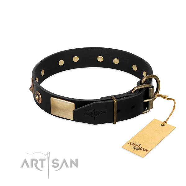 Corrosion resistant embellishments on walking dog collar