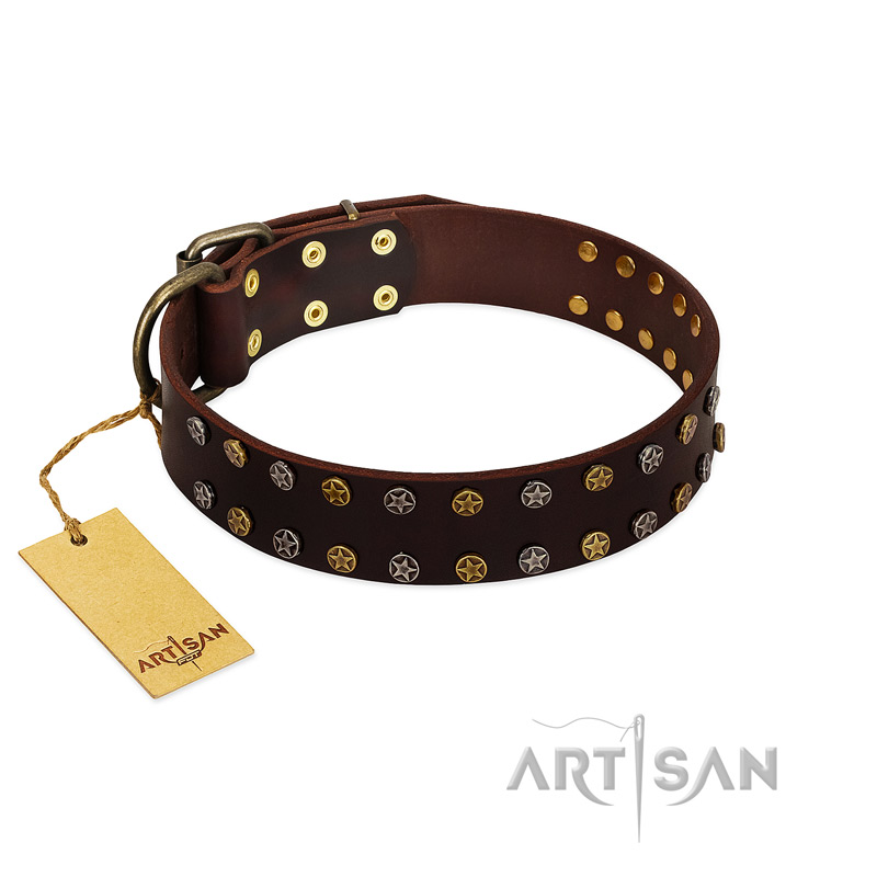 Beautiful leather dog collars online