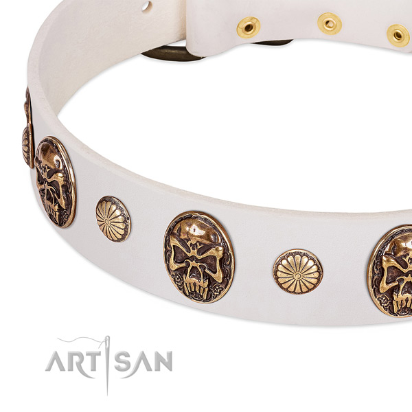 Corrosion proof decorations on full grain genuine leather dog collar for your doggie