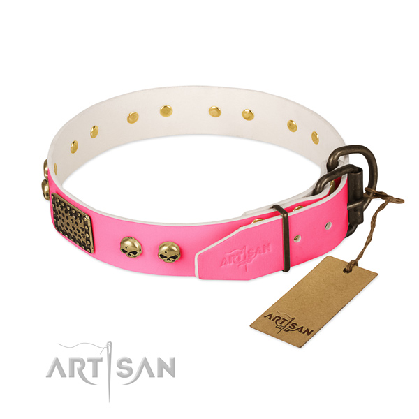 Corrosion proof hardware on walking dog collar