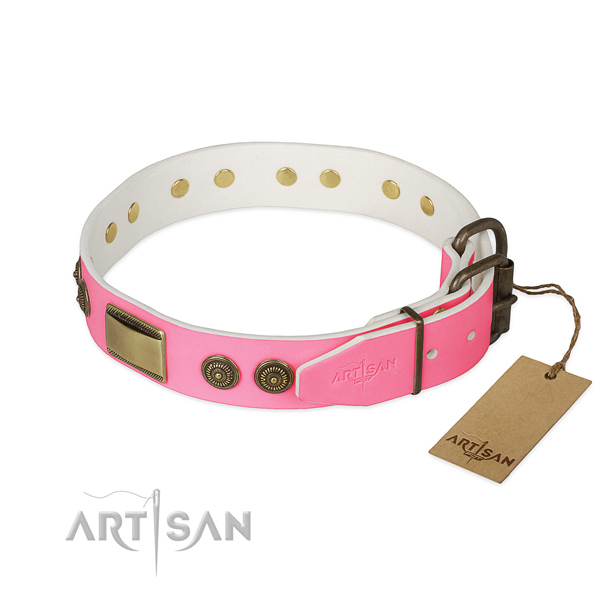 Strong D-ring on basic training dog collar