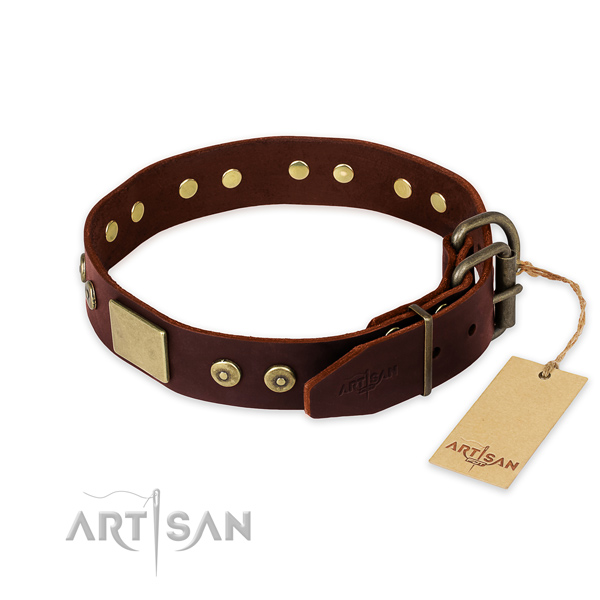 Strong D-ring on basic training dog collar