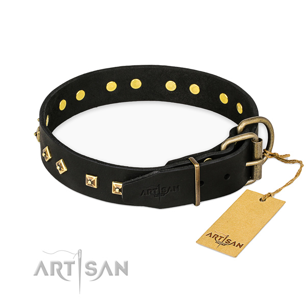 Corrosion resistant fittings on full grain natural leather collar for basic training your four-legged friend
