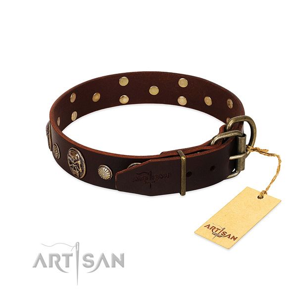 Strong D-ring on basic training dog collar
