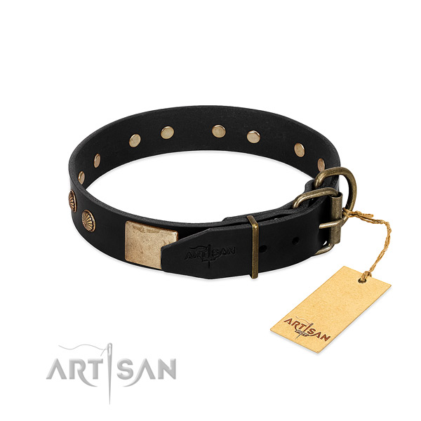Corrosion proof traditional buckle on easy wearing dog collar