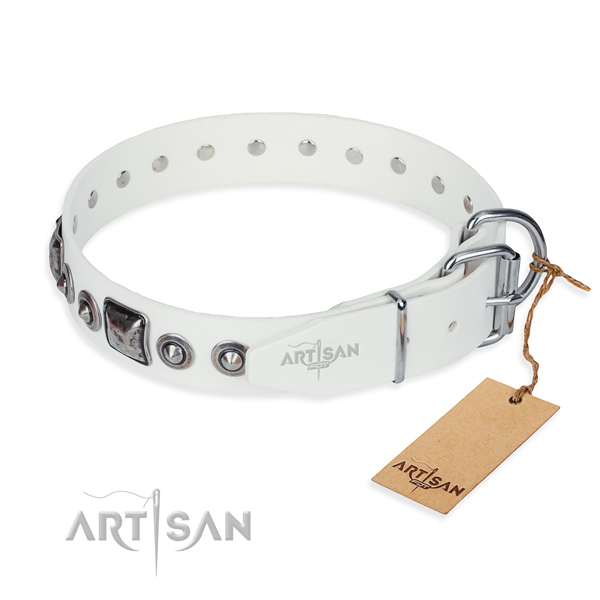 Top notch full grain natural leather dog collar made for basic training
