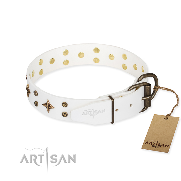 Basic training decorated dog collar of quality full grain leather