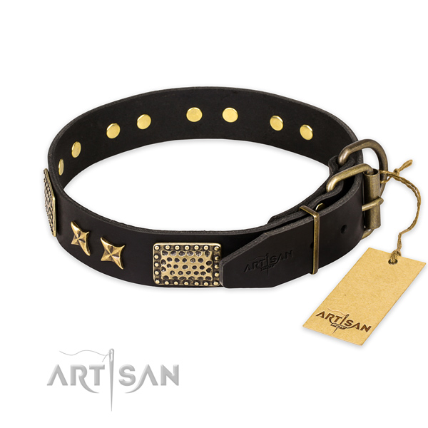 Corrosion resistant D-ring on leather collar for your impressive four-legged friend