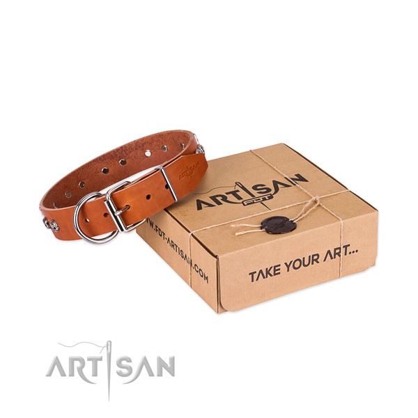 Durable D-ring on dog collar for comfortable wearing