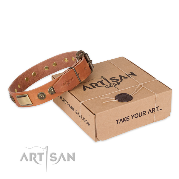 Reliable buckle on full grain natural leather dog collar for walking