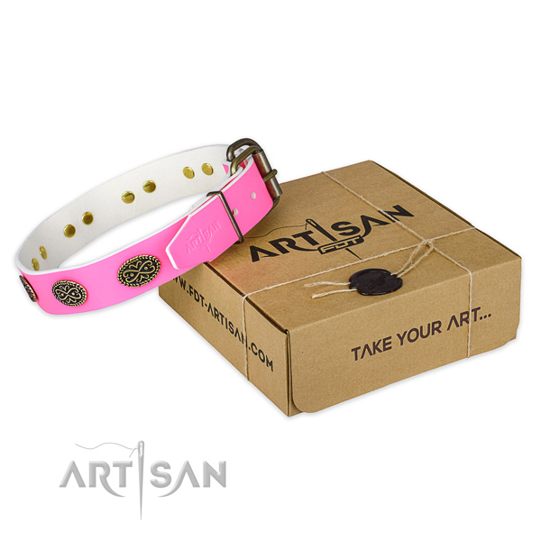 Strong studs on dog collar for comfortable wearing