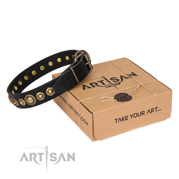 Quality full grain genuine leather dog collar handcrafted for walking