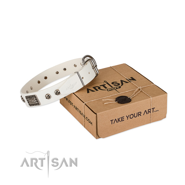 Reliable buckle on dog collar for everyday walking