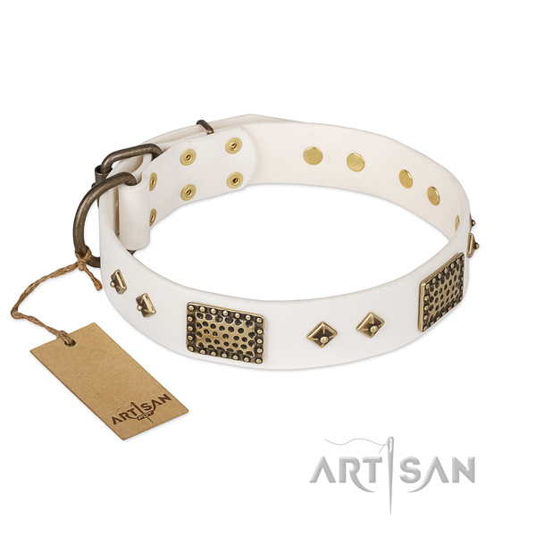 Adorned full grain natural leather dog collar for fancy walking