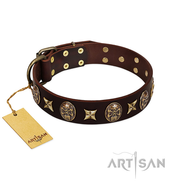 Top quality leather collar for your four-legged friend