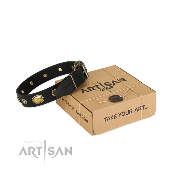 Rust-proof embellishments on full grain natural leather dog collar for your dog