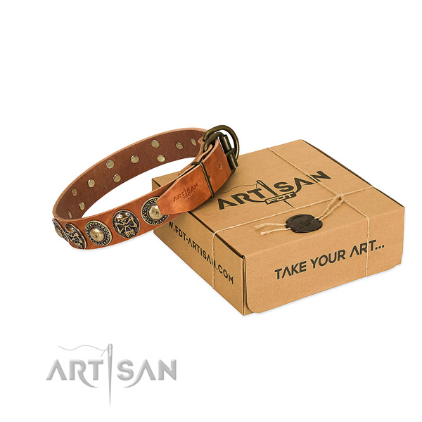 Corrosion resistant studs on dog collar for basic training
