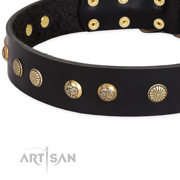 Genuine leather collar with strong traditional buckle for your lovely dog