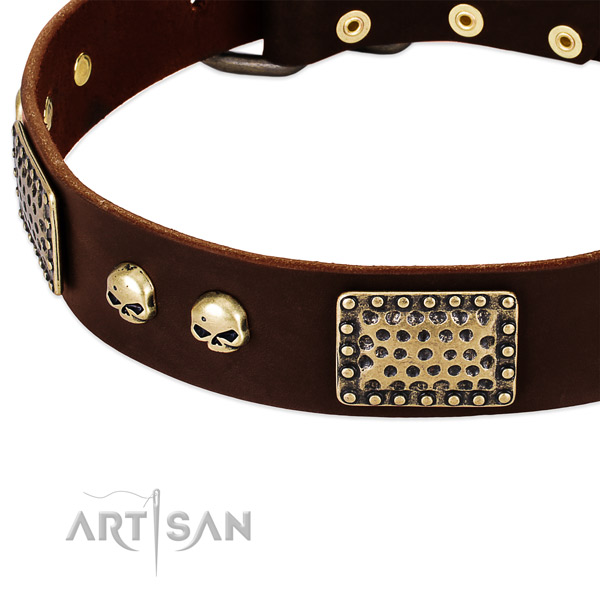 Rust resistant traditional buckle on genuine leather dog collar for your dog