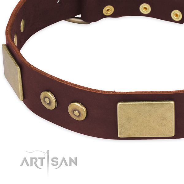 Leather dog collar with adornments for everyday use