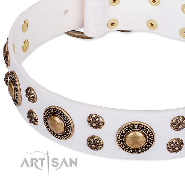 Basic training studded dog collar of durable full grain natural leather