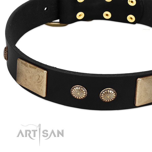 Full grain genuine leather dog collar with decorations for daily use