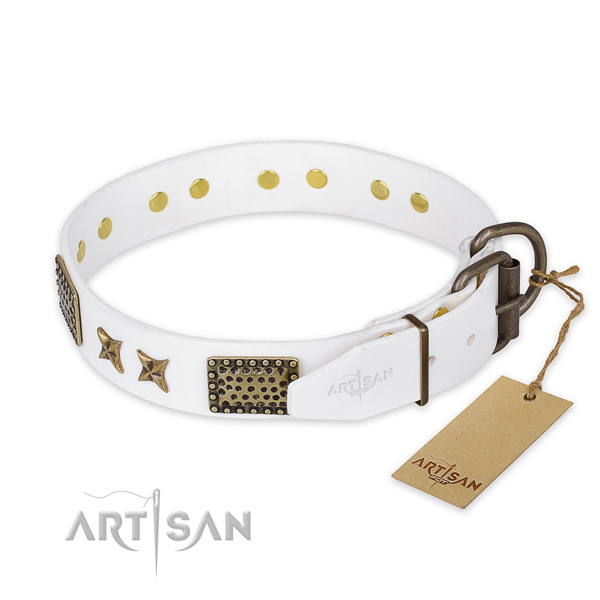Reliable D-ring on genuine leather collar for your handsome pet