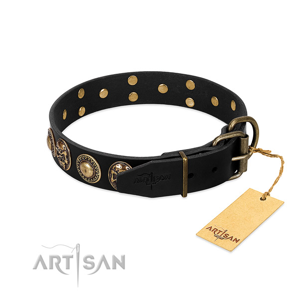 Rust-proof embellishments on everyday walking dog collar