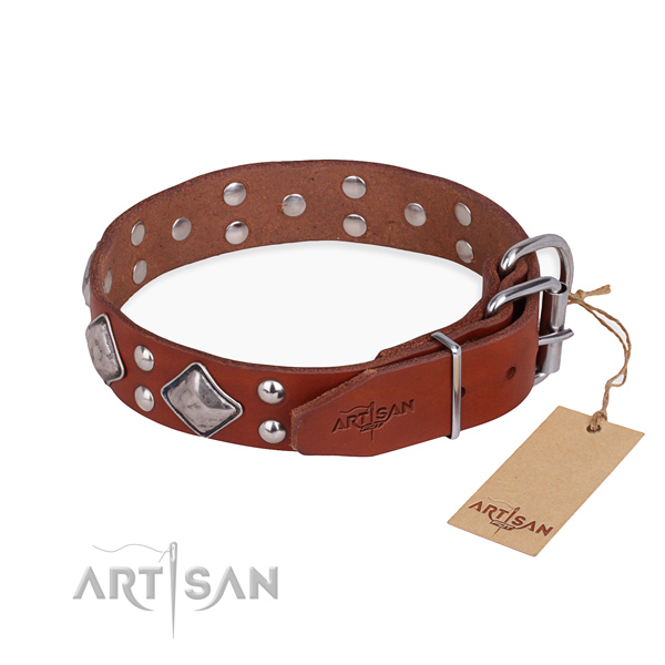 Full grain leather dog collar with impressive corrosion resistant adornments