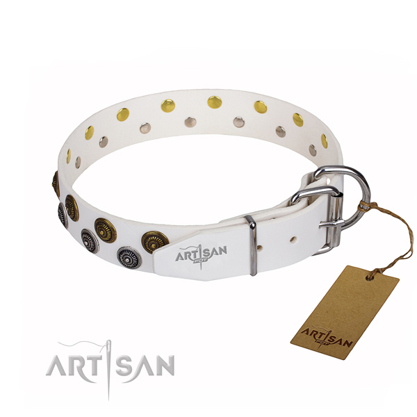 Walking embellished dog collar of top notch natural leather