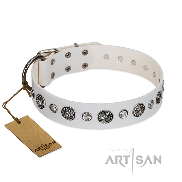 Strong full grain genuine leather dog collar with rust-proof hardware