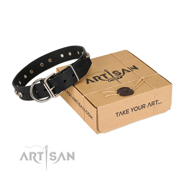 Reliable buckle on dog collar for comfortable wearing