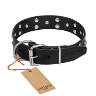 "Mystic Skulls" Decorated Leather dog Collar with Skulls and Studs