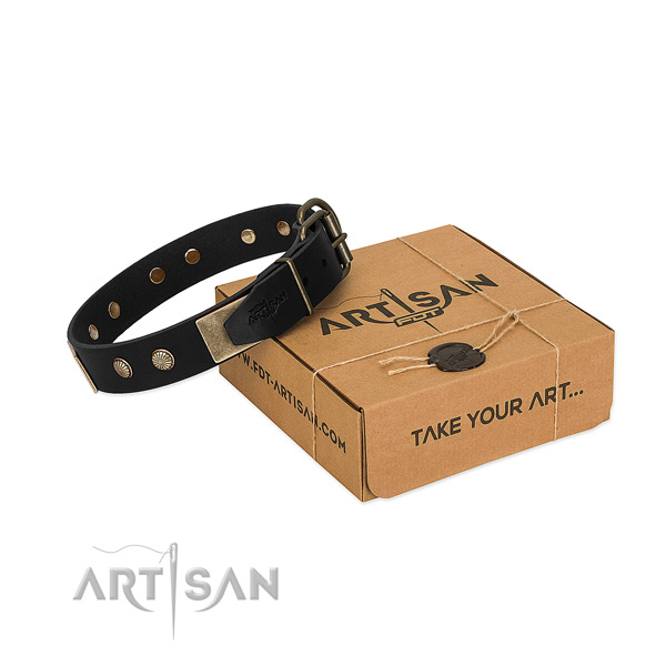 Corrosion resistant D-ring on dog collar for everyday use