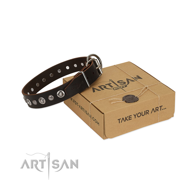 High quality full grain leather dog collar with remarkable embellishments