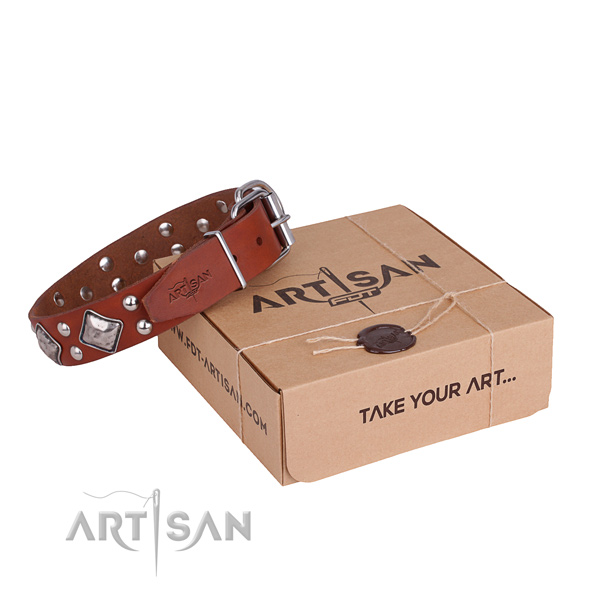 Comfortable wearing dog collar with Extraordinary durable studs