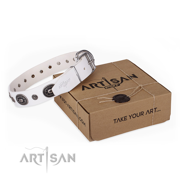 Flexible full grain natural leather dog collar handcrafted for fancy walking