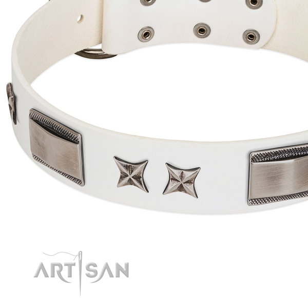 High quality full grain genuine leather dog collar with durable traditional buckle