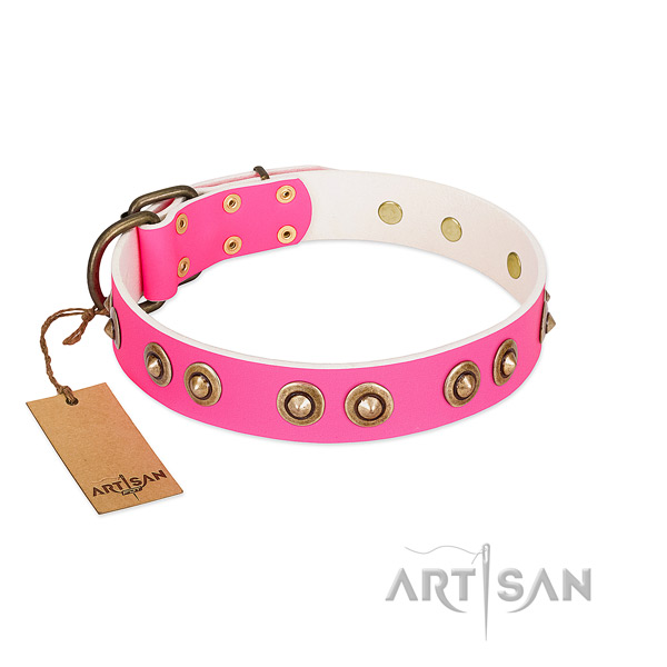 Fashionable full grain leather dog collar for comfy wearing