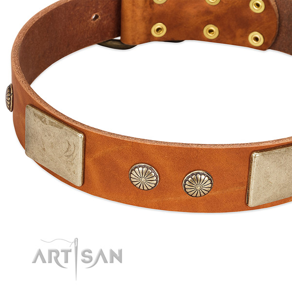 Rust-proof hardware on genuine leather dog collar for your doggie